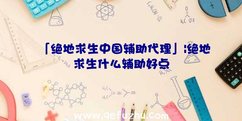 「绝地求生中国辅助代理」|绝地求生什么辅助好点